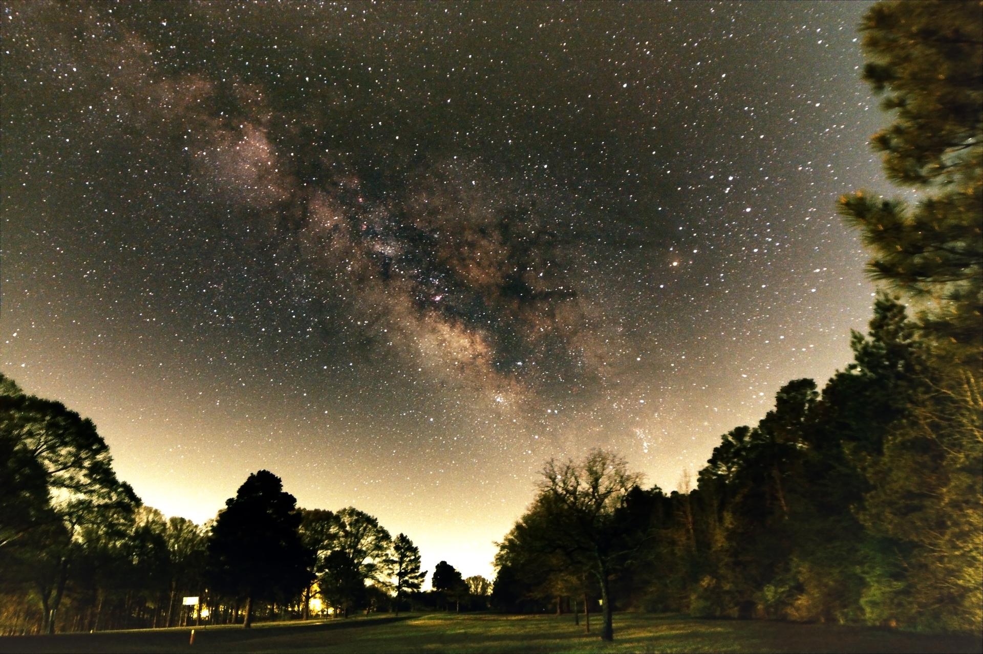 Stunning night sky with the Milky Way above dark trees and a faint horizon glow.