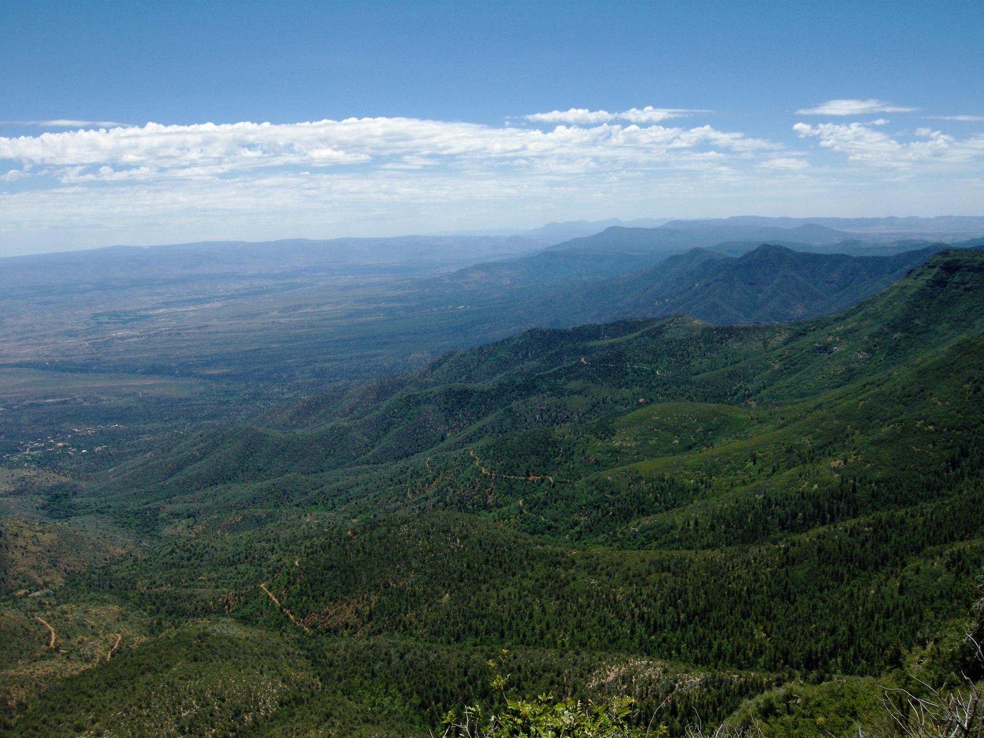 Expansive view of green, forested mountains and valleys under a bright blue sky.