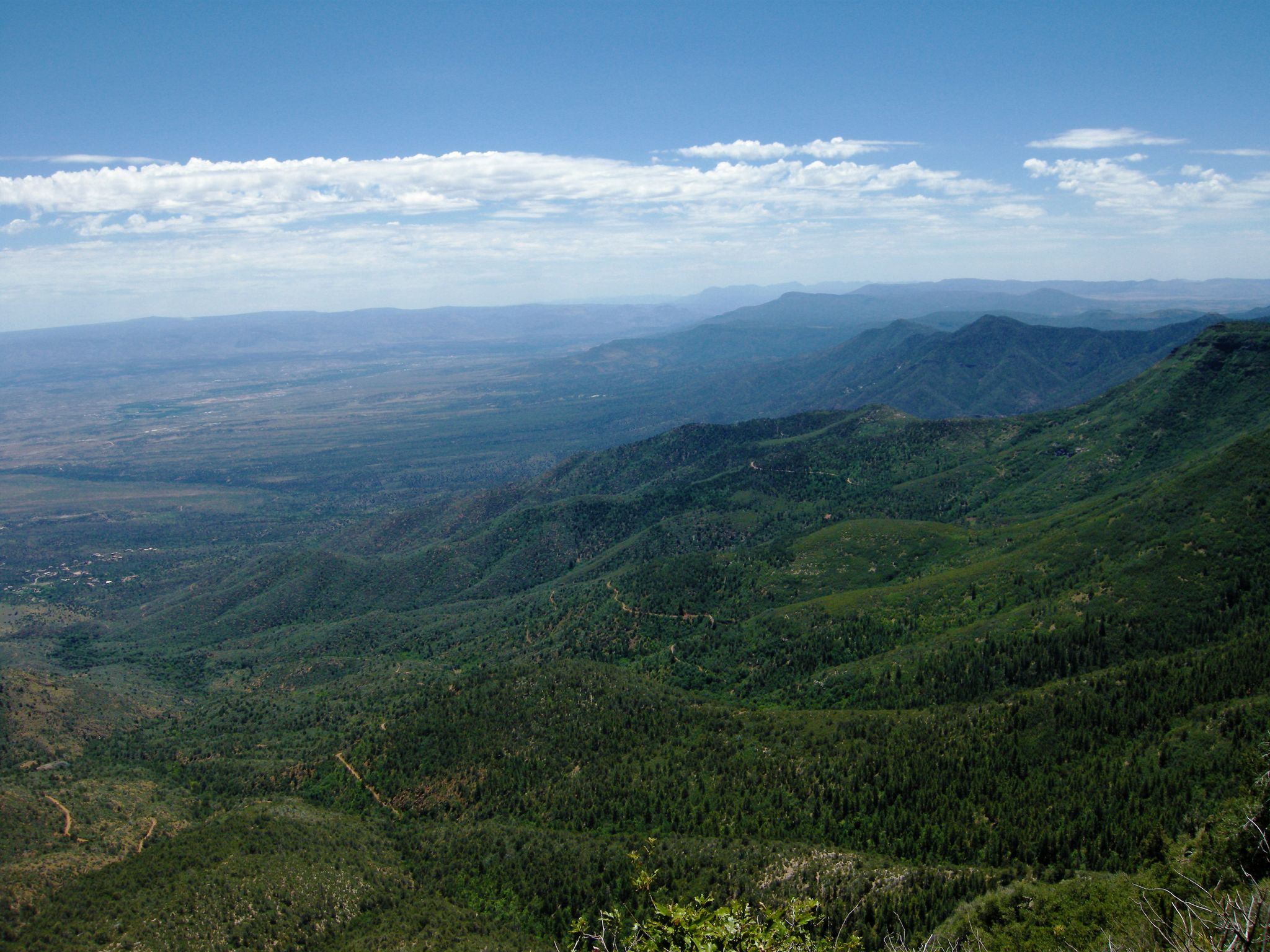 Expansive view of green, forested mountains and valleys under a bright blue sky. - North Mingus and View Point Trail Loop