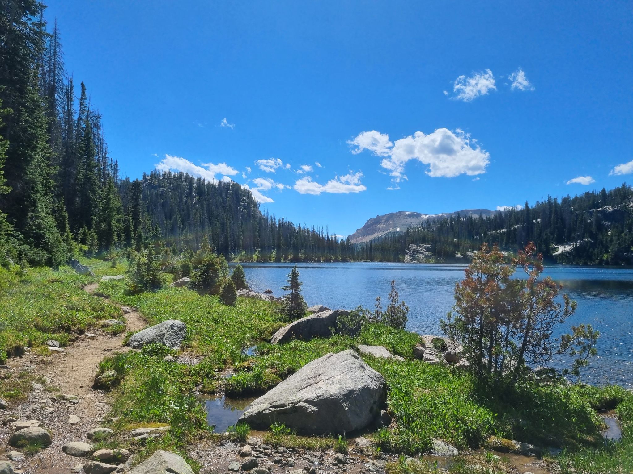 Sunny mountain lake with a rocky trail, surrounded by dense pine forest. - Beauty Lake and Beartooth High Lakes Loop