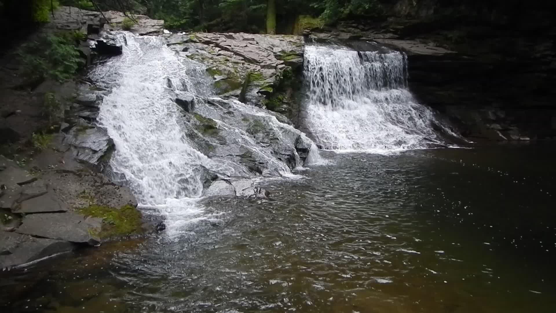 Two waterfalls cascade over dark rocks into a dark pool in a shaded forest.