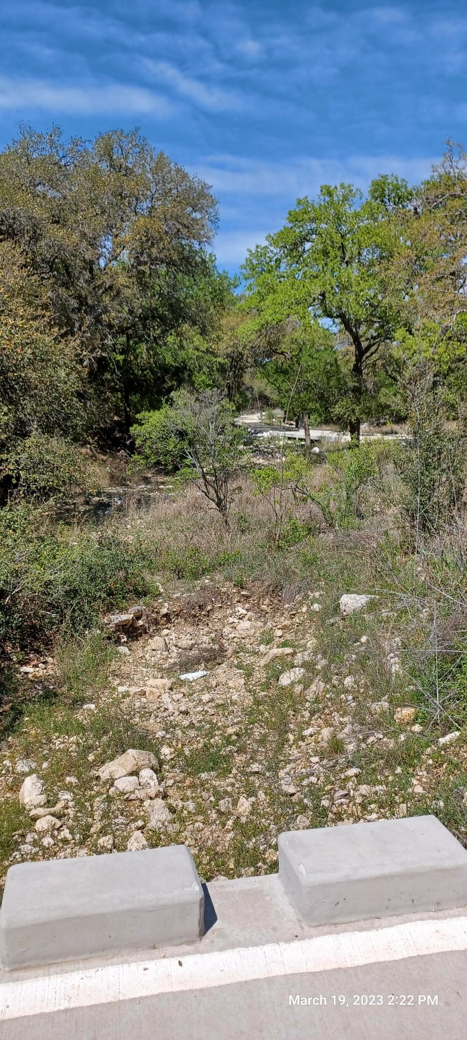 A rocky, dry gully surrounded by green trees under a bright blue sky.