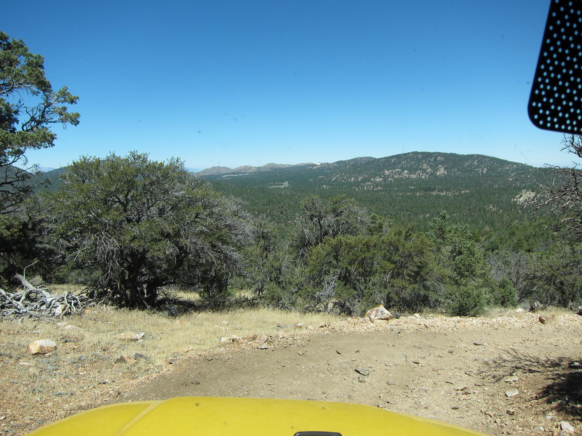 View from a vehicle of a vast, green, forested mountain landscape under a clear blue sky.