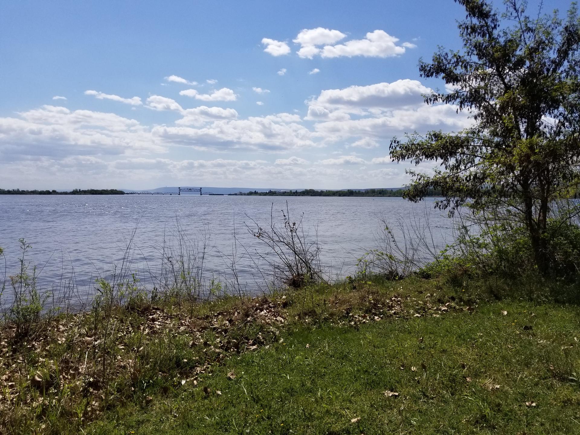 Sunny view of a wide river from a grassy bank with distant bridge.