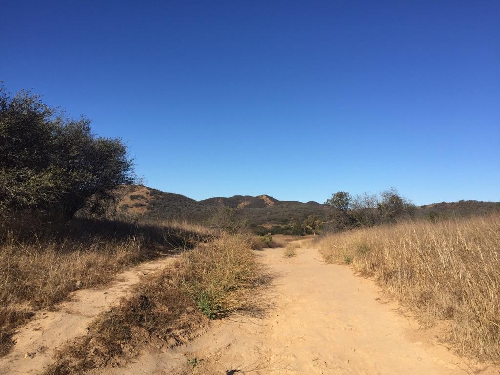 A dirt path splits in a dry, sunny, hilly landscape under a clear sky.