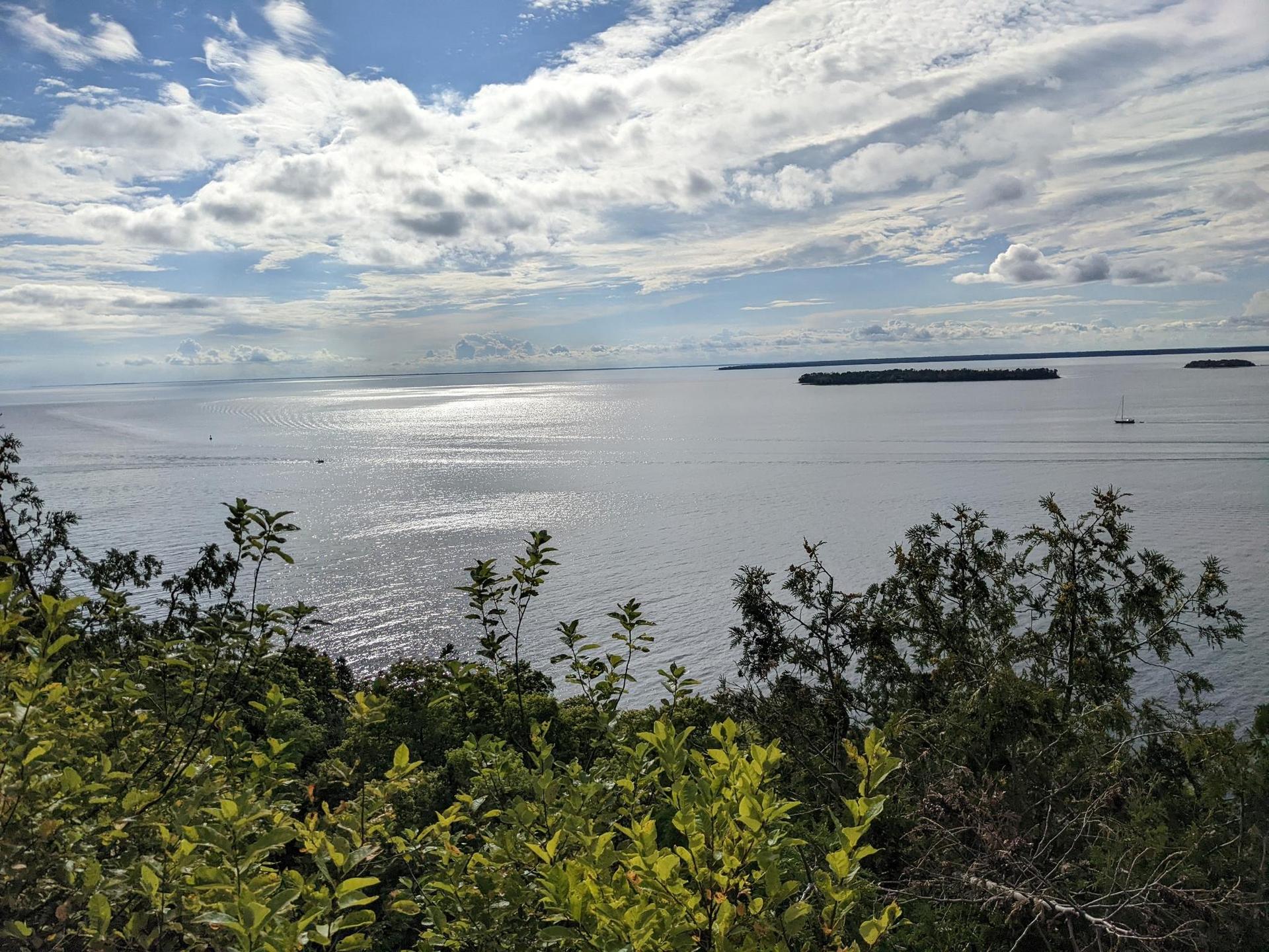 Overhead view of sparkling water, distant islands, and lush green plants.