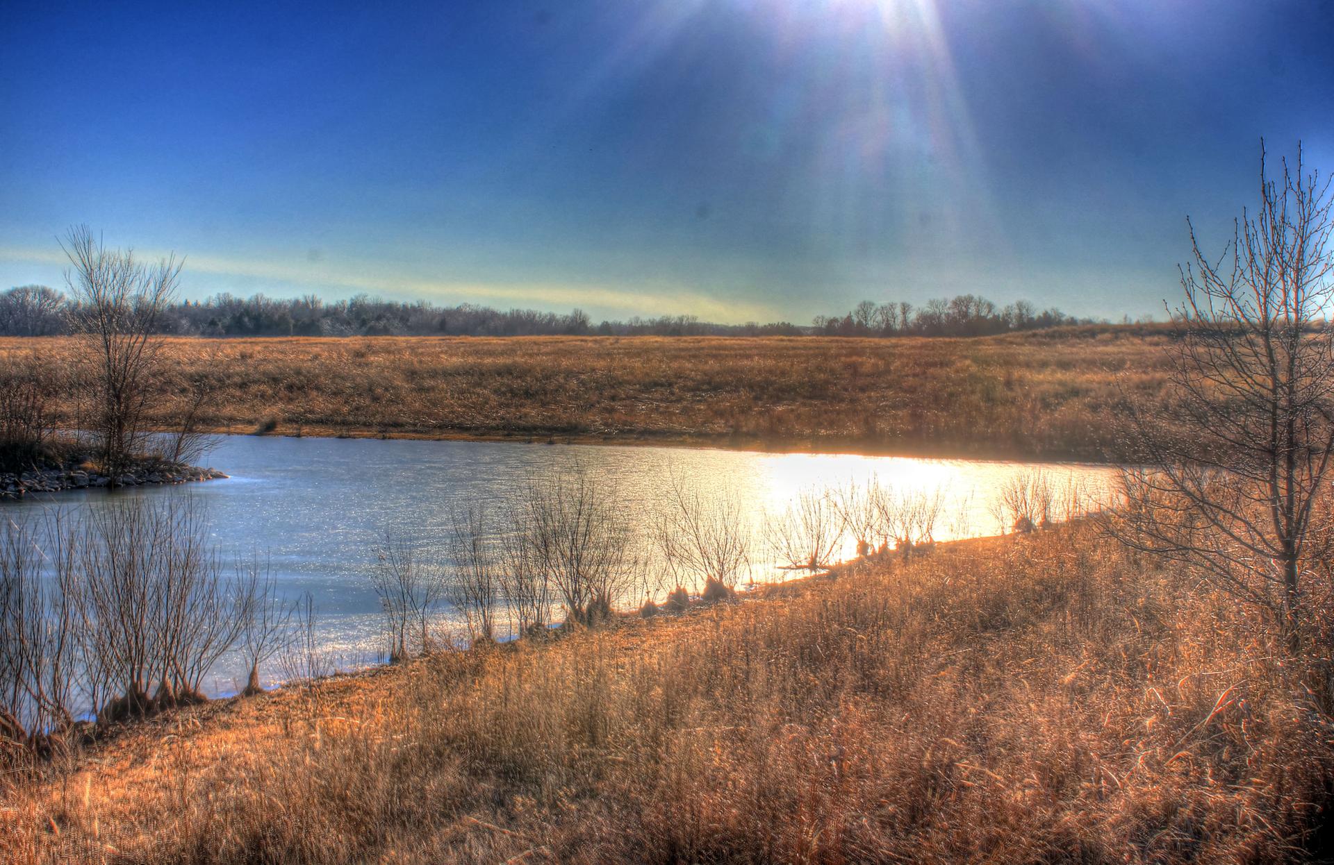 Sunlit water body surrounded by dry grass and bare trees under a bright sky.