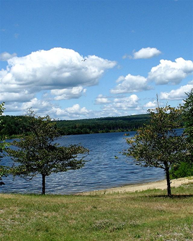 Sunny day over a blue lake with a sandy shore and distant forest.