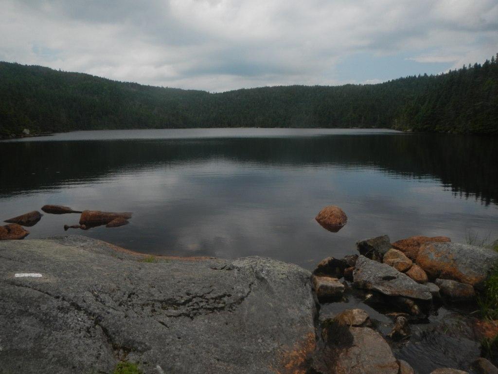 Dark, calm lake surrounded by dense green forest under an overcast sky.