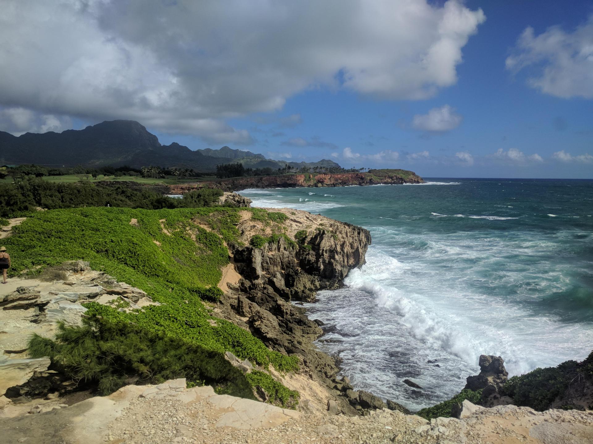 Dramatic rocky cliffs with green foliage overlooking crashing ocean waves and mountains.