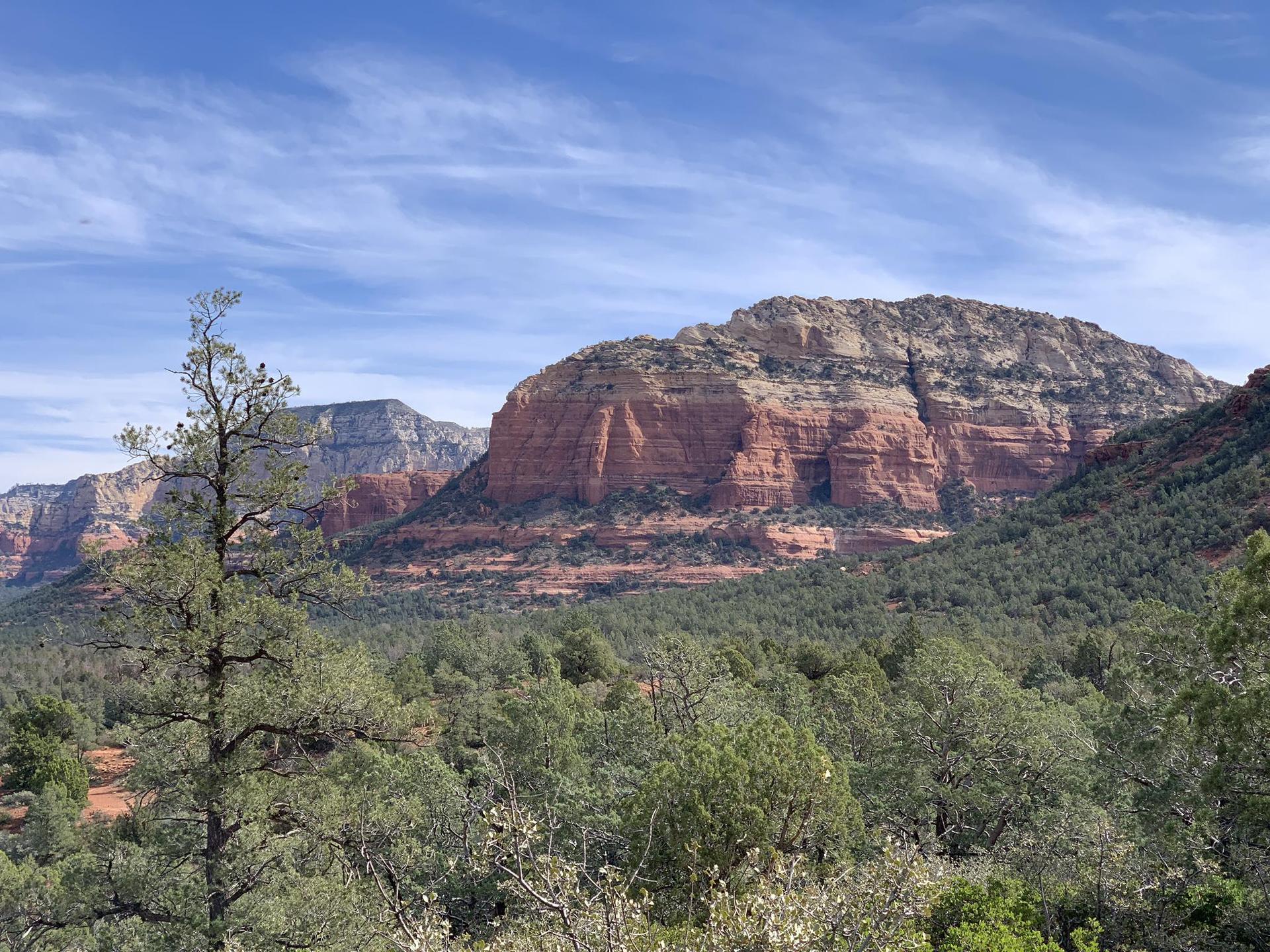 Red rock mountains rise above a green forest under a bright blue sky.