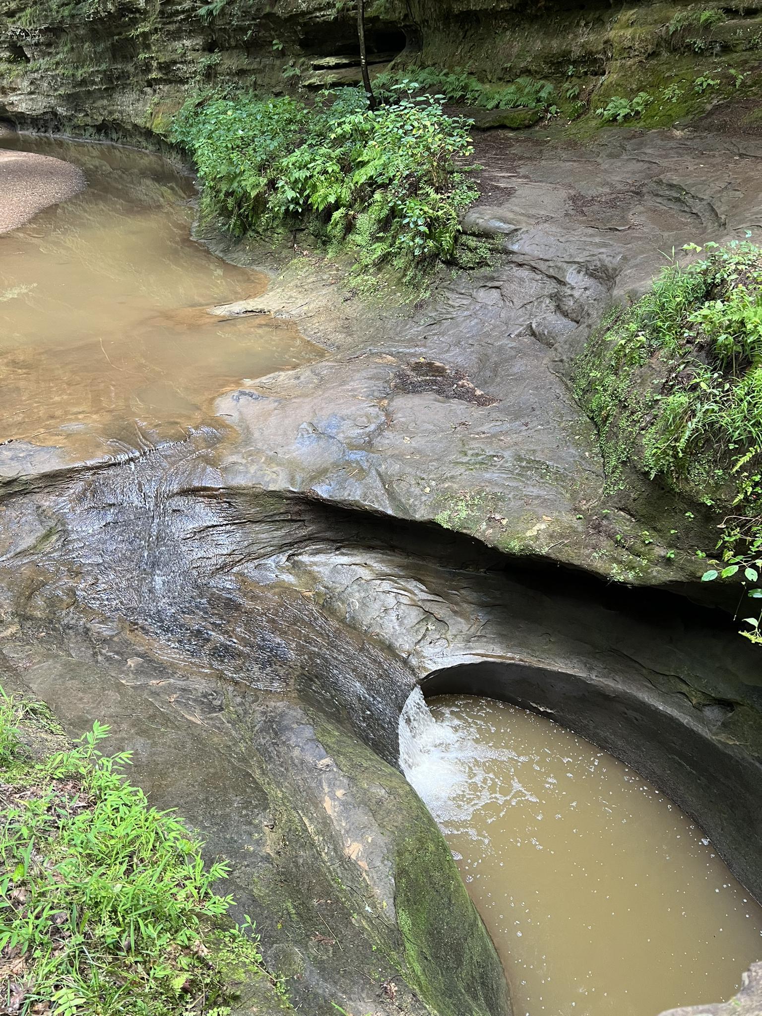 Stream flowing over sculpted rock formations, creating small pools and cascades.