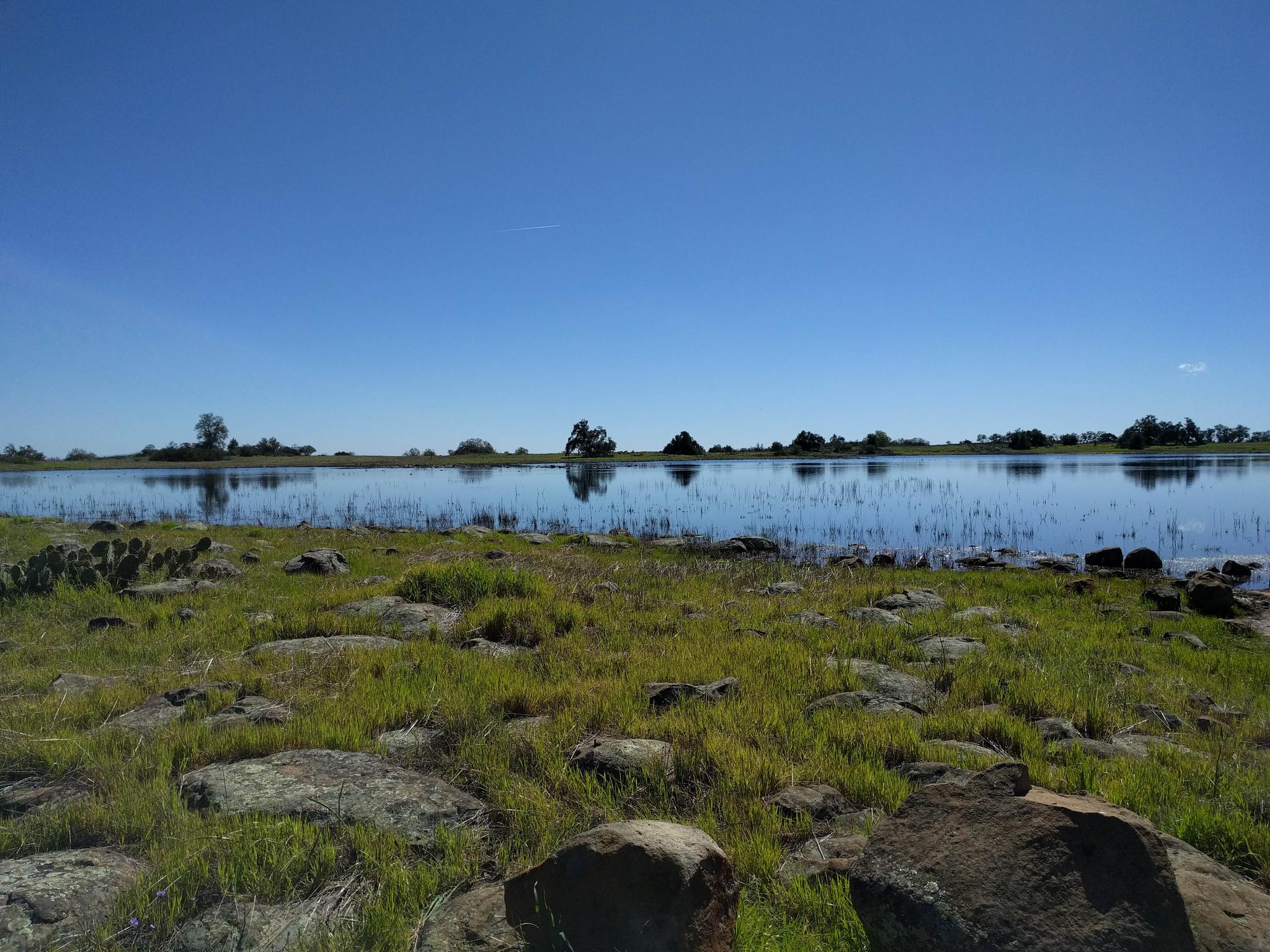 A calm lake with a rocky, grassy shore under a clear blue sky.