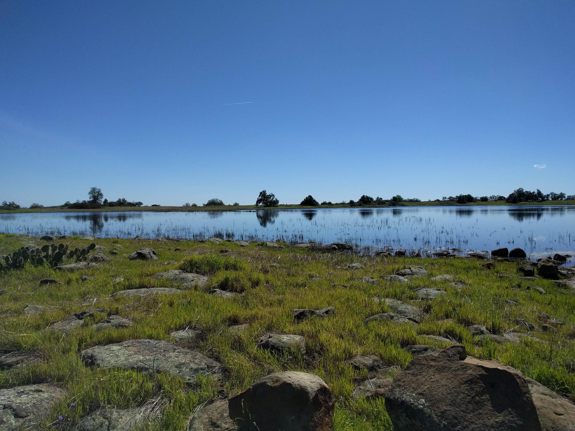 A calm lake with a rocky, grassy shore under a clear blue sky.