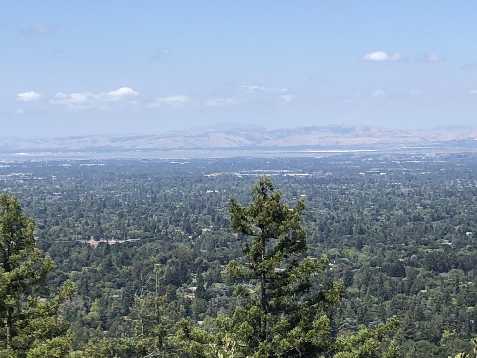 Panoramic view of a vast green forest and distant mountains under a blue sky.