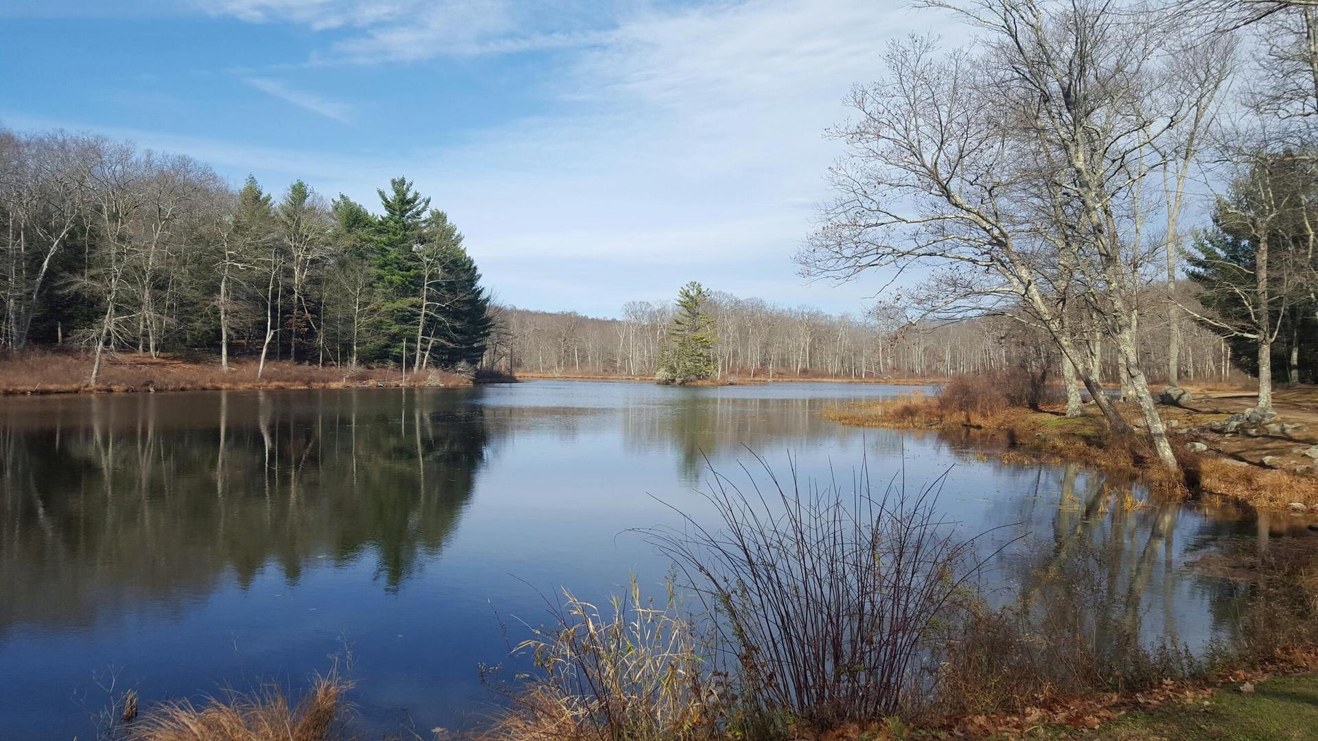 Calm lake reflecting bare and evergreen trees under a bright sky.