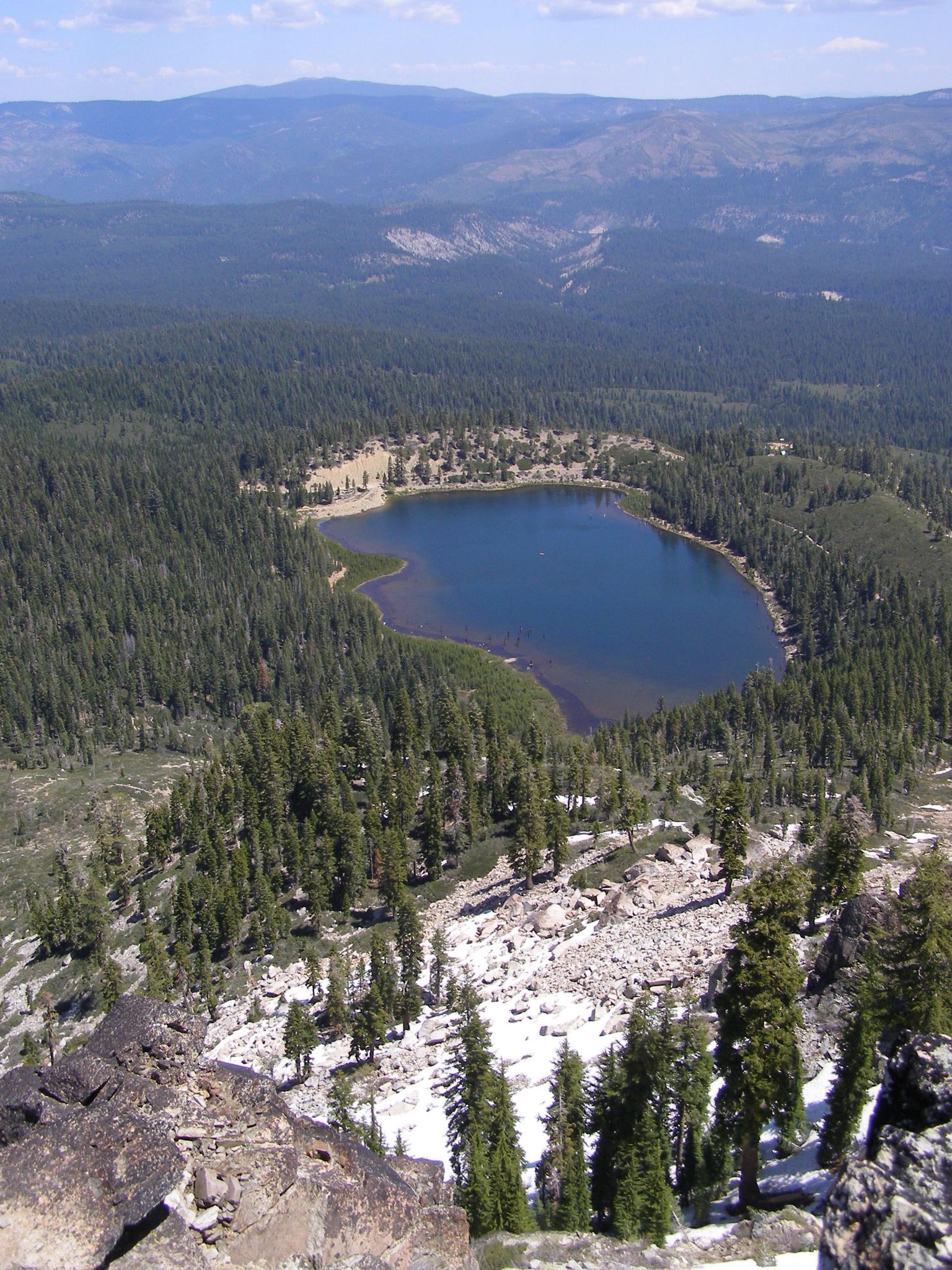 High aerial view of a blue lake nestled within a vast pine forest.