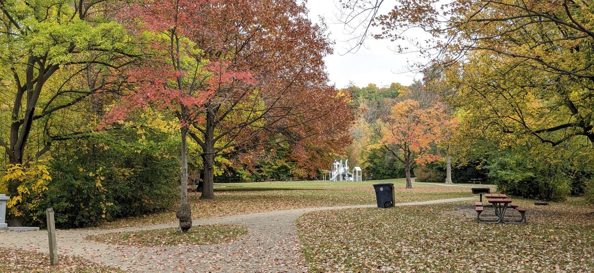 A park with autumn trees, a path, picnic table, and distant playground.