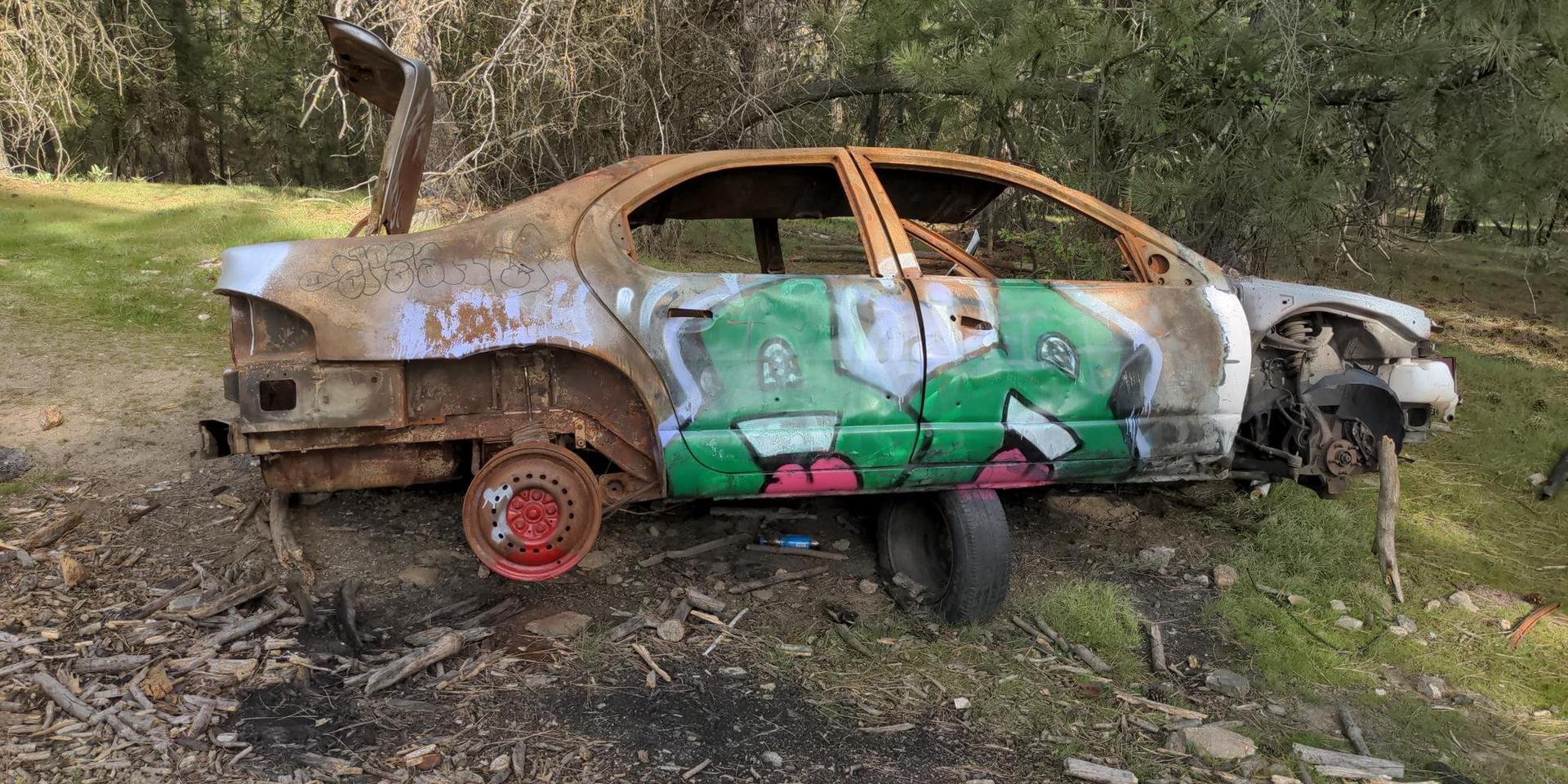 A burned, graffiti-covered car wreck sits on a dirt forest floor.