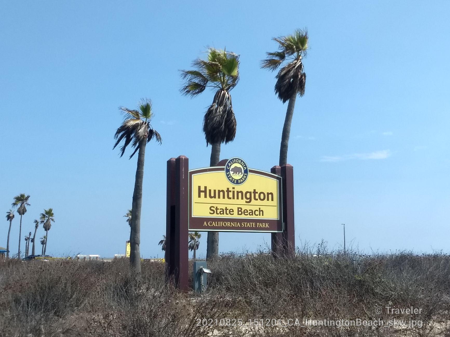 Wooden sign surrounded by palm trees and dry brush under blue sky.