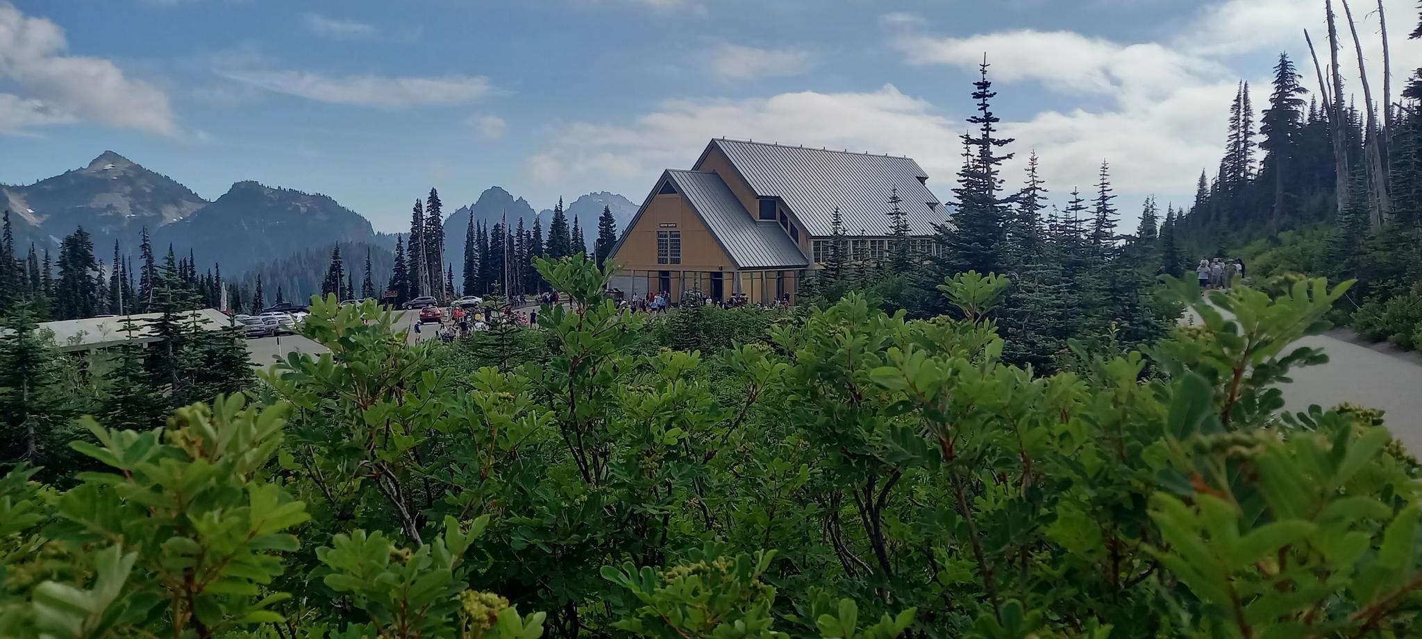 A large lodge building nestled among pine trees, with mountains in the distance.