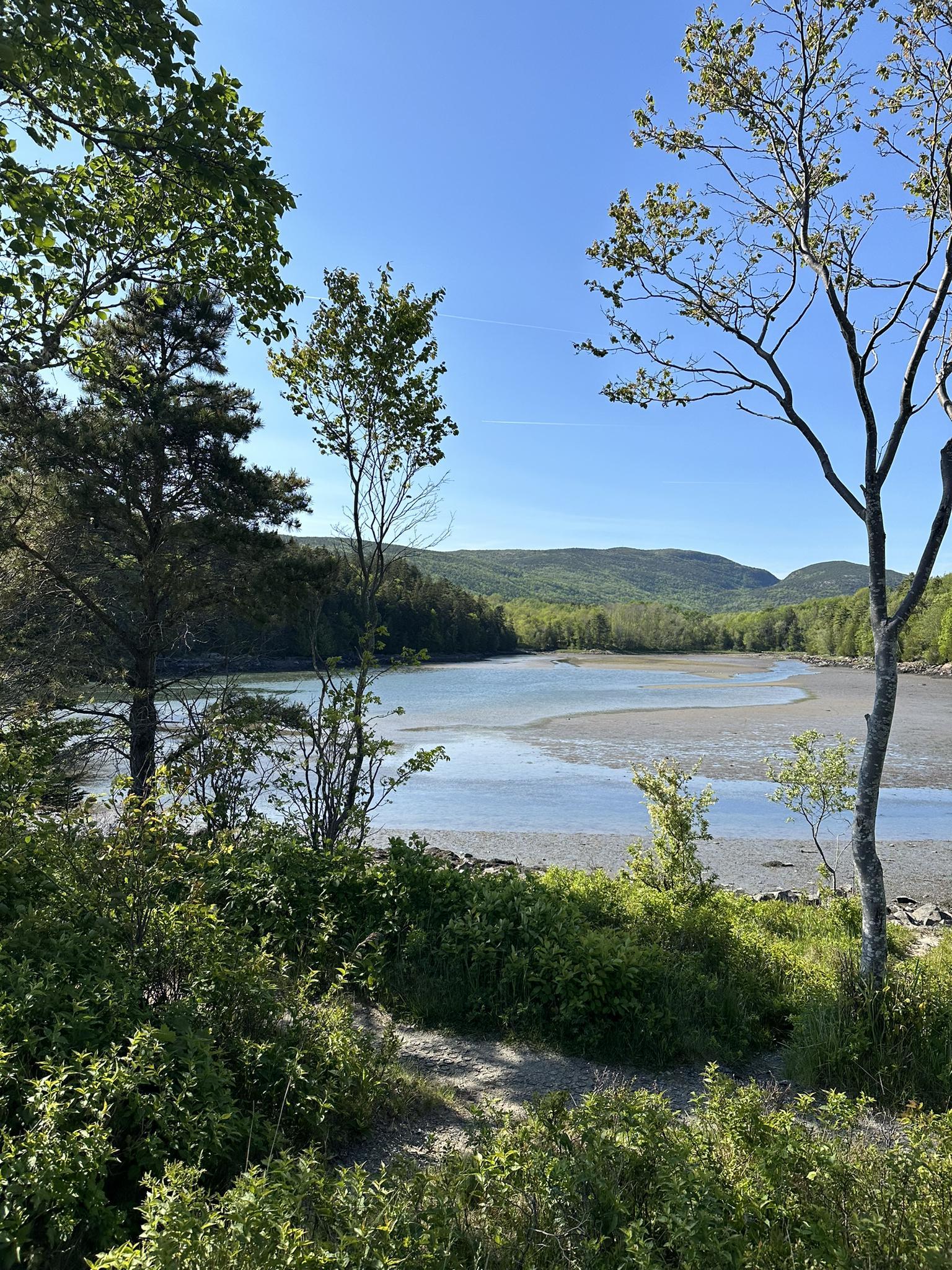 Sunny view of a wide river estuary with mudflats and green hills.