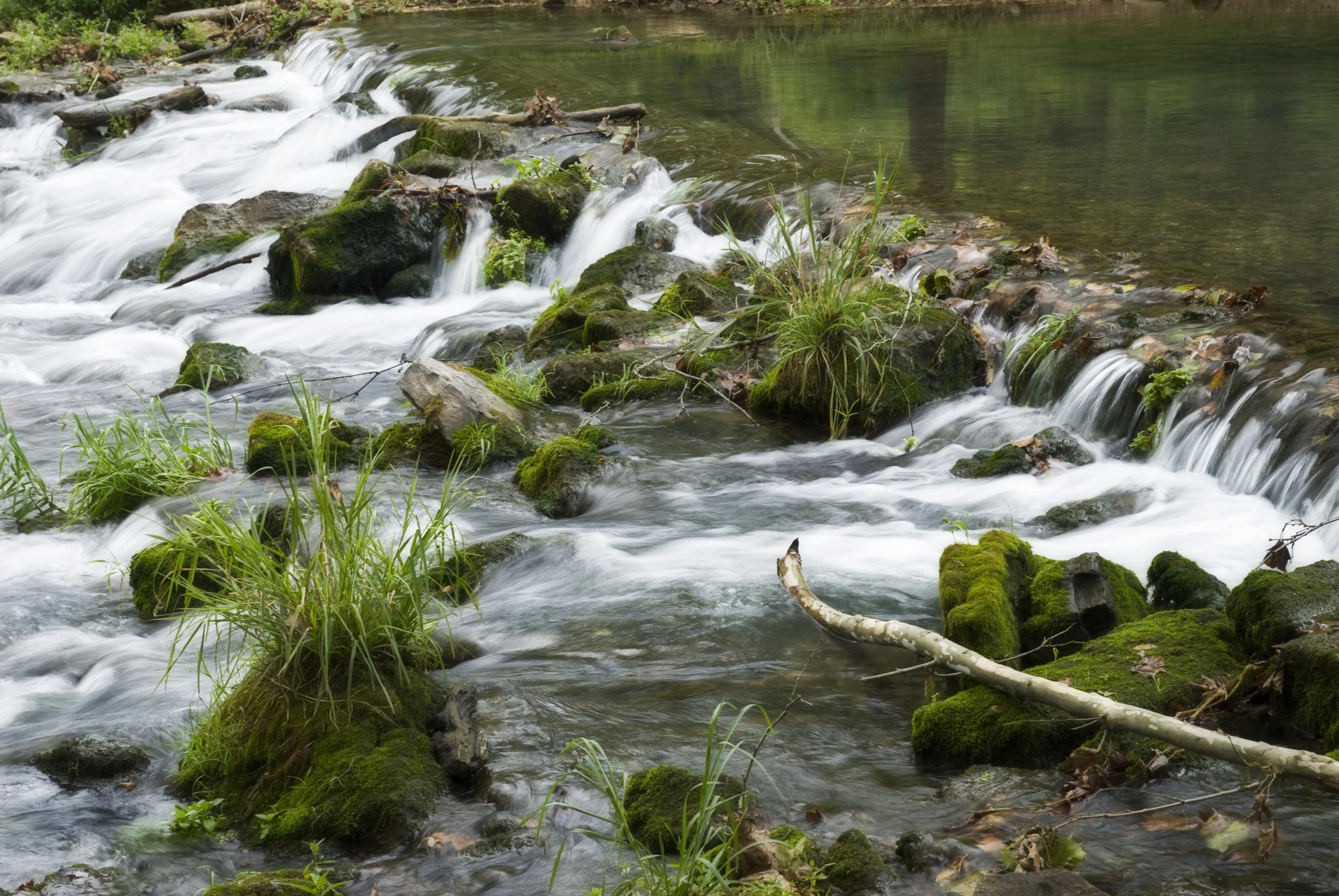 Rushing water over mossy rocks and green plants in a stream.