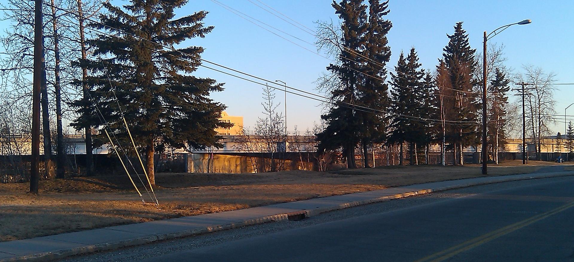 A street with trees and power lines under a clear, bright sky.