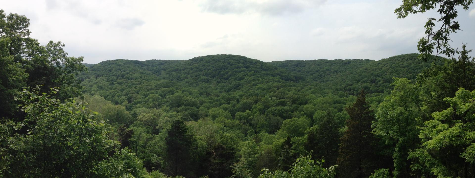 Panoramic view of lush green forested hills under a cloudy sky.