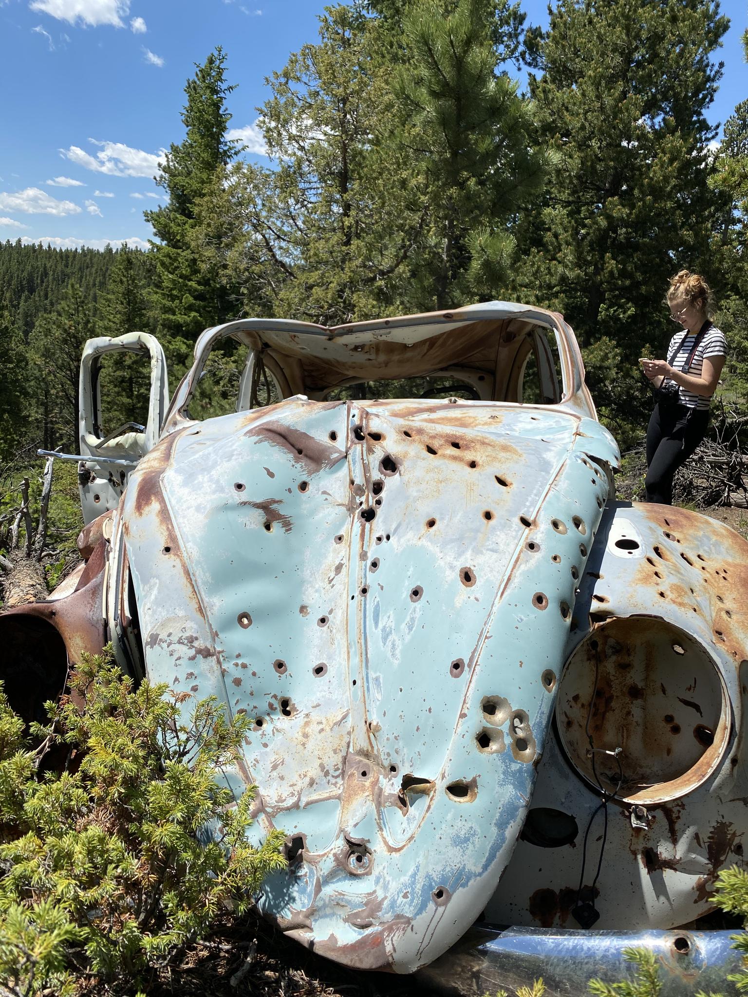 A person views an old, bullet-riddled car in a sunny forest.