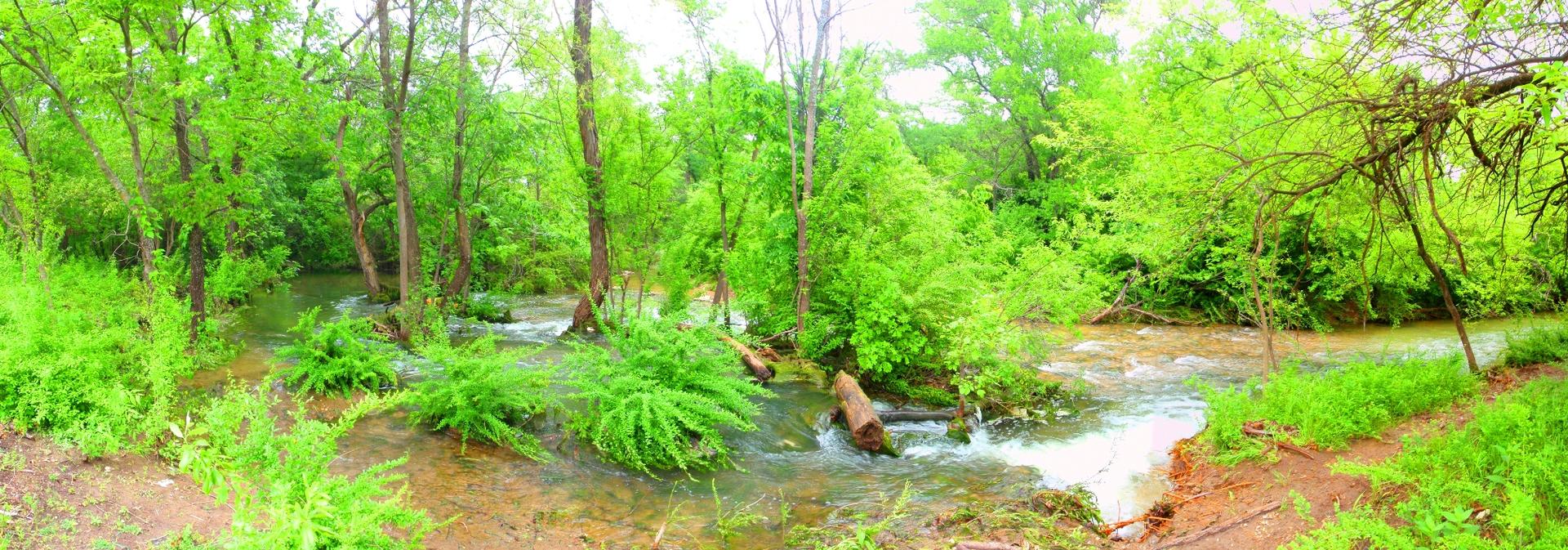 Vibrant green forest with a winding stream and fallen logs under bright light.