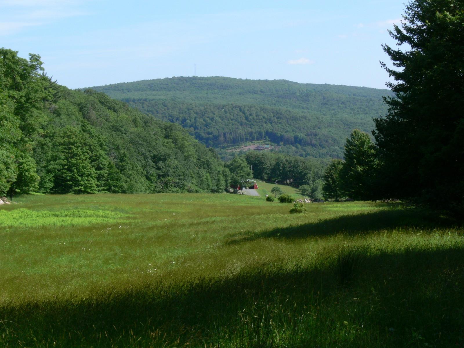 Expansive green meadow with distant forested hills under a clear blue sky.