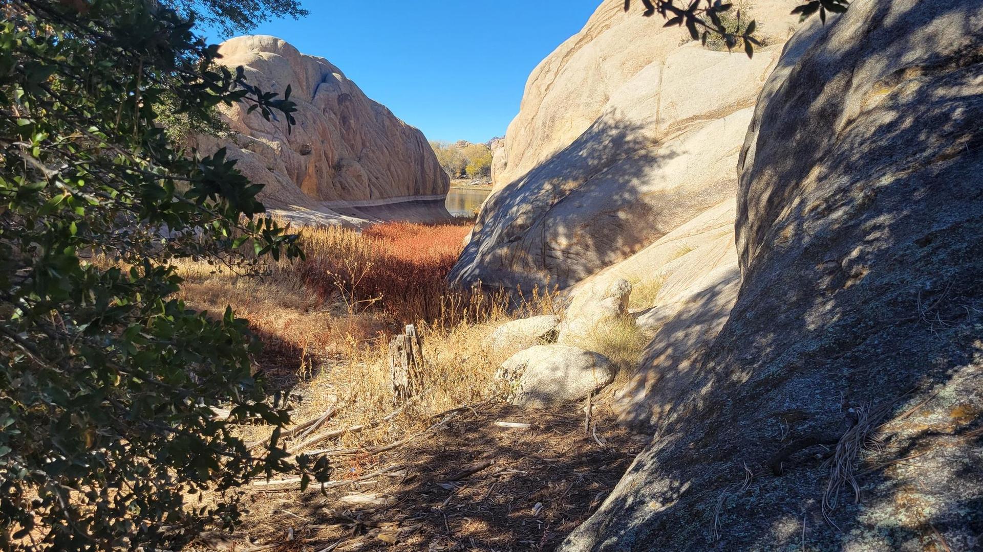 Sunny view into a rocky canyon with water and colorful reeds.