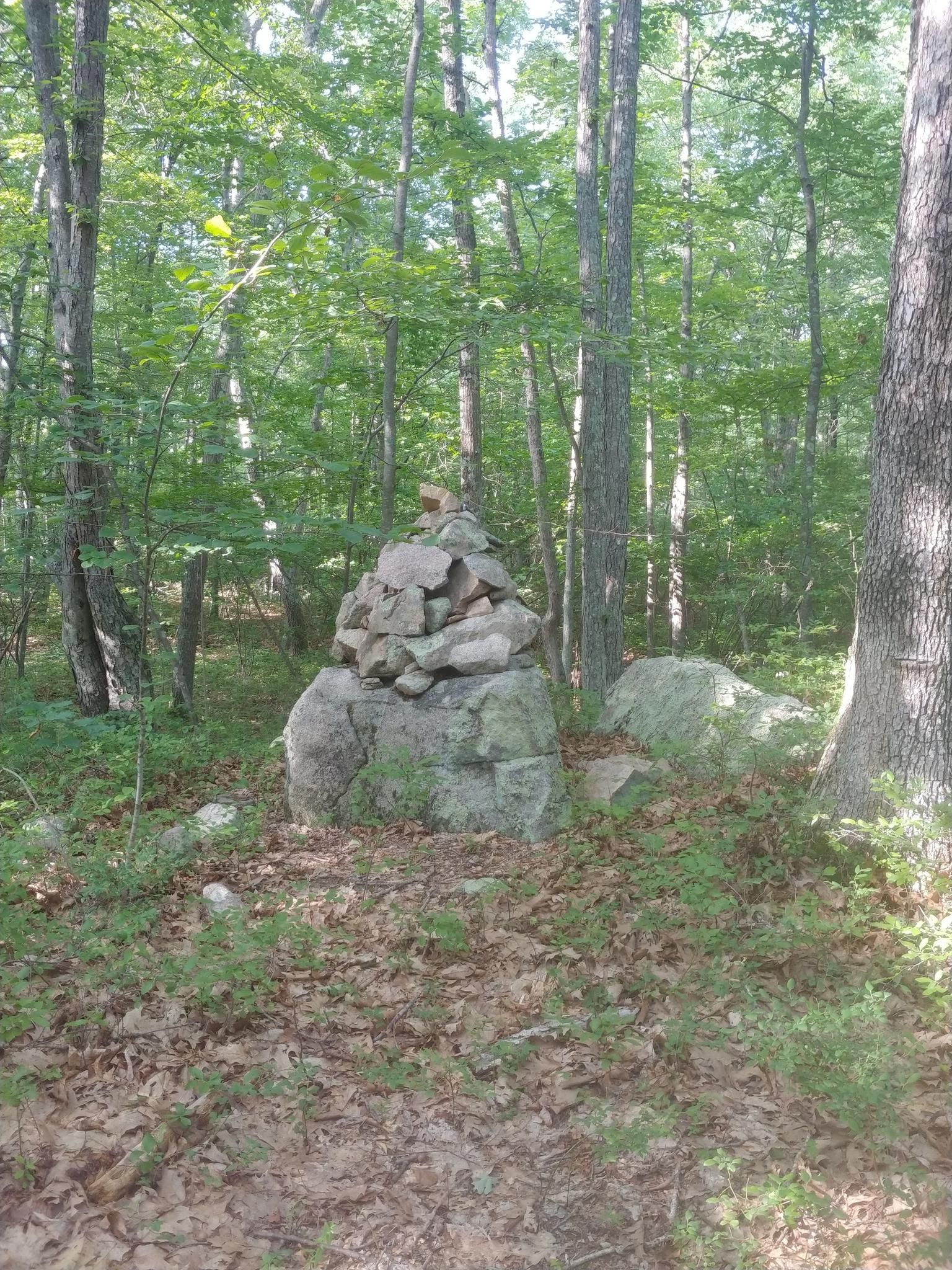 A rock cairn stands in a sunlit forest with green trees and brown leaves. - Weston Pond to Adams Street Conservation Land loop via Fairbanks Land