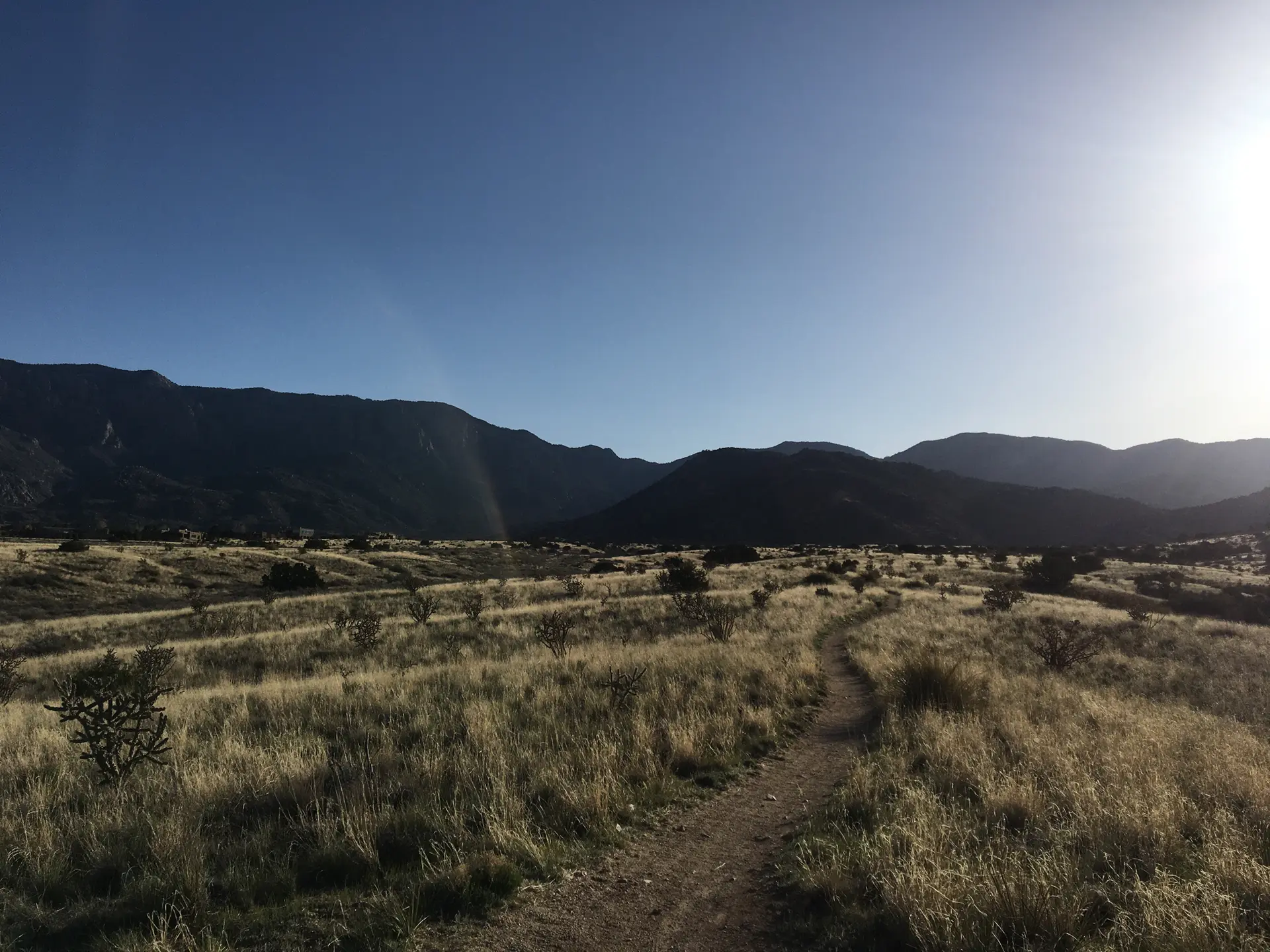 Desert trail leads towards dark mountains, bright sun shines on the right.