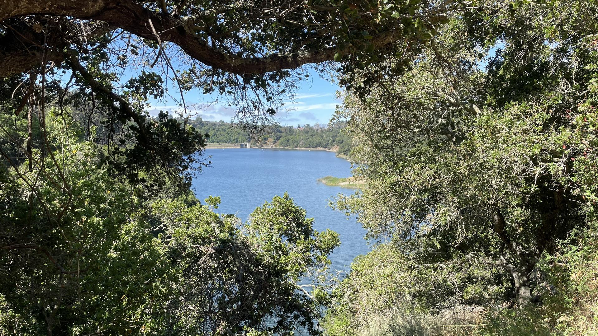 Blue lake framed by dense green trees on a bright, sunny day.