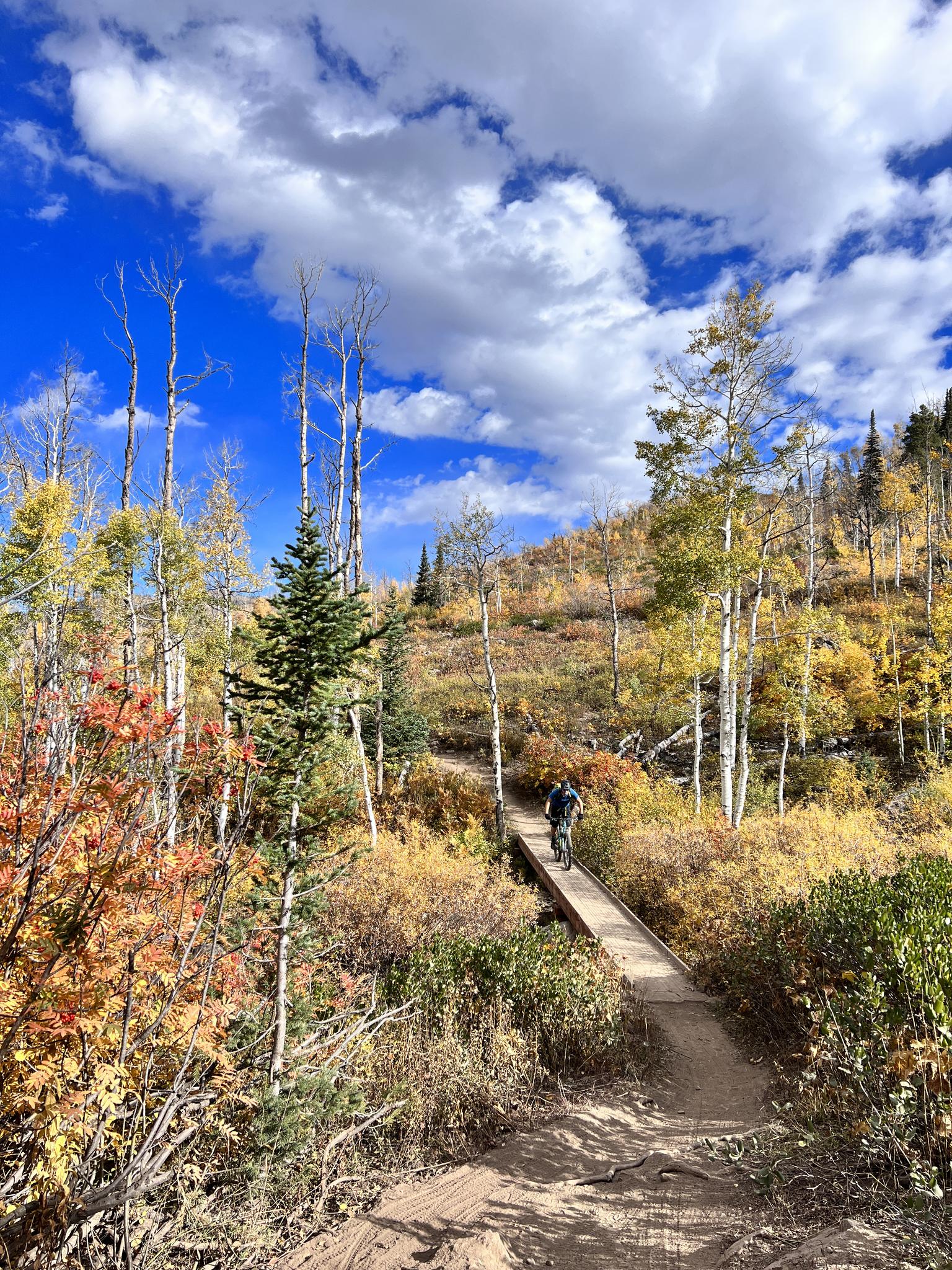 Mountain biker crosses a wooden bridge through a vibrant autumn forest under a cloudy sky.