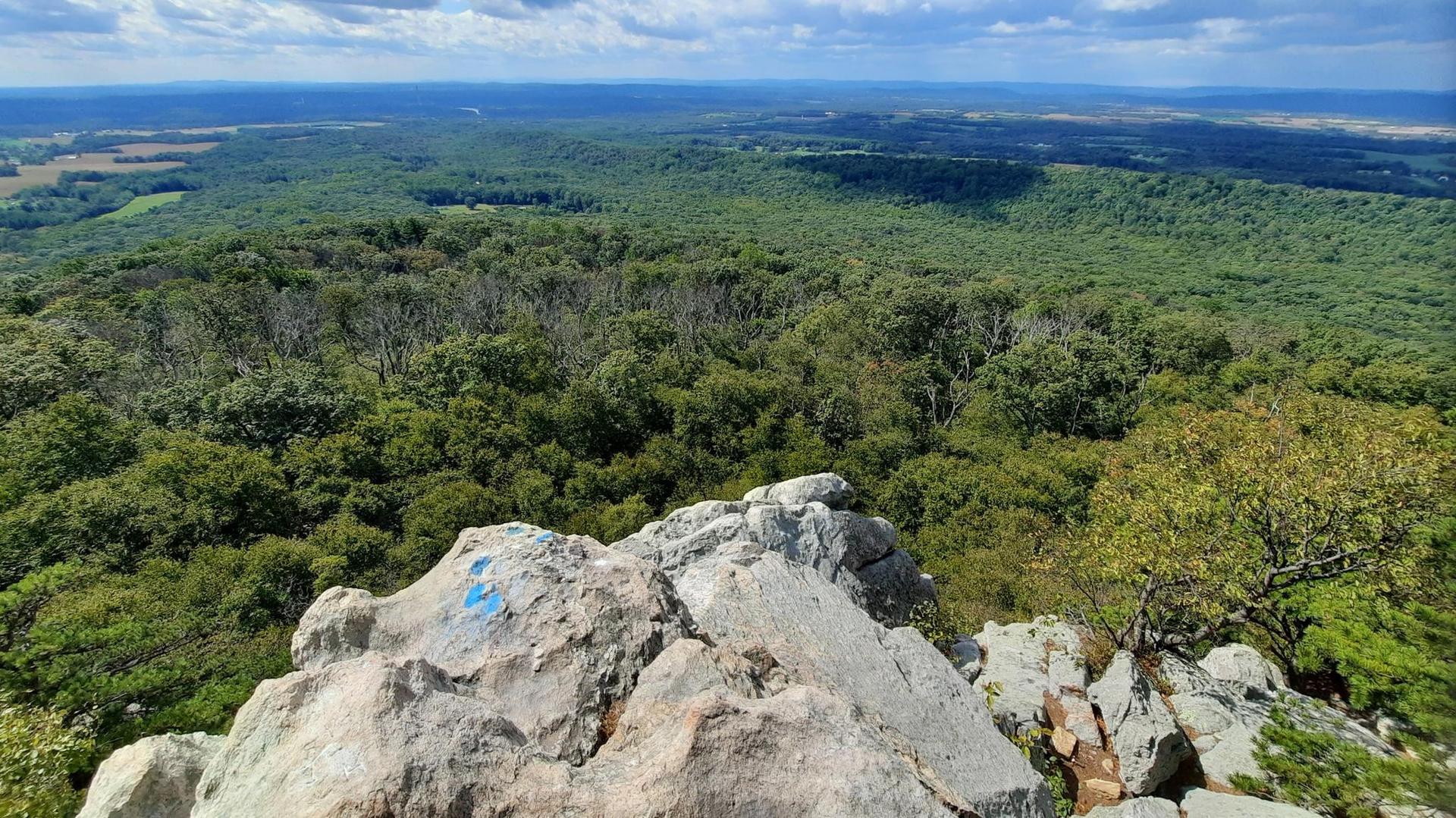 Panoramic view from rocky outcrop overlooking vast green forest under cloudy sky.