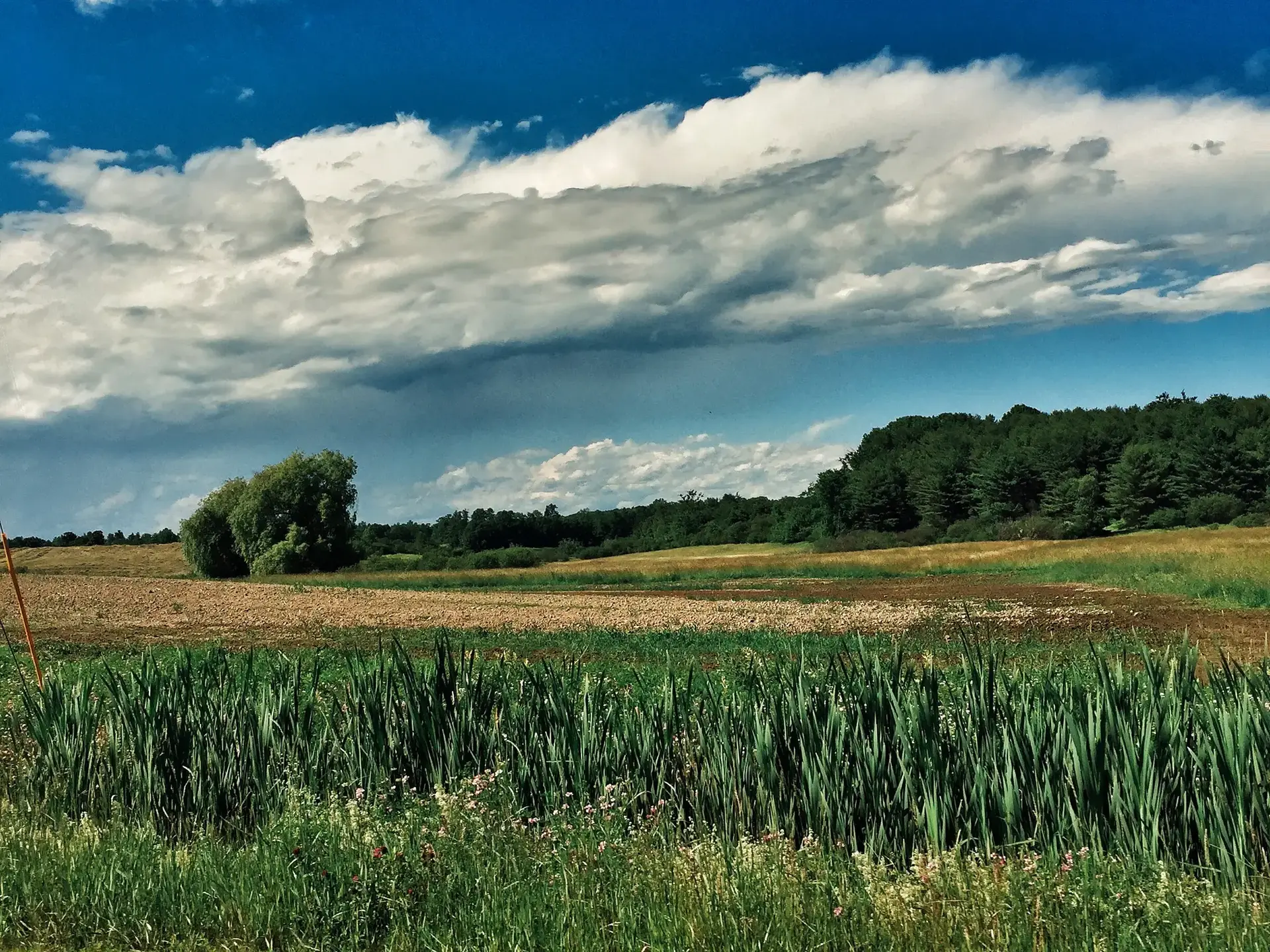 Vast green and brown fields under a dramatic cloudy sky, with distant trees.