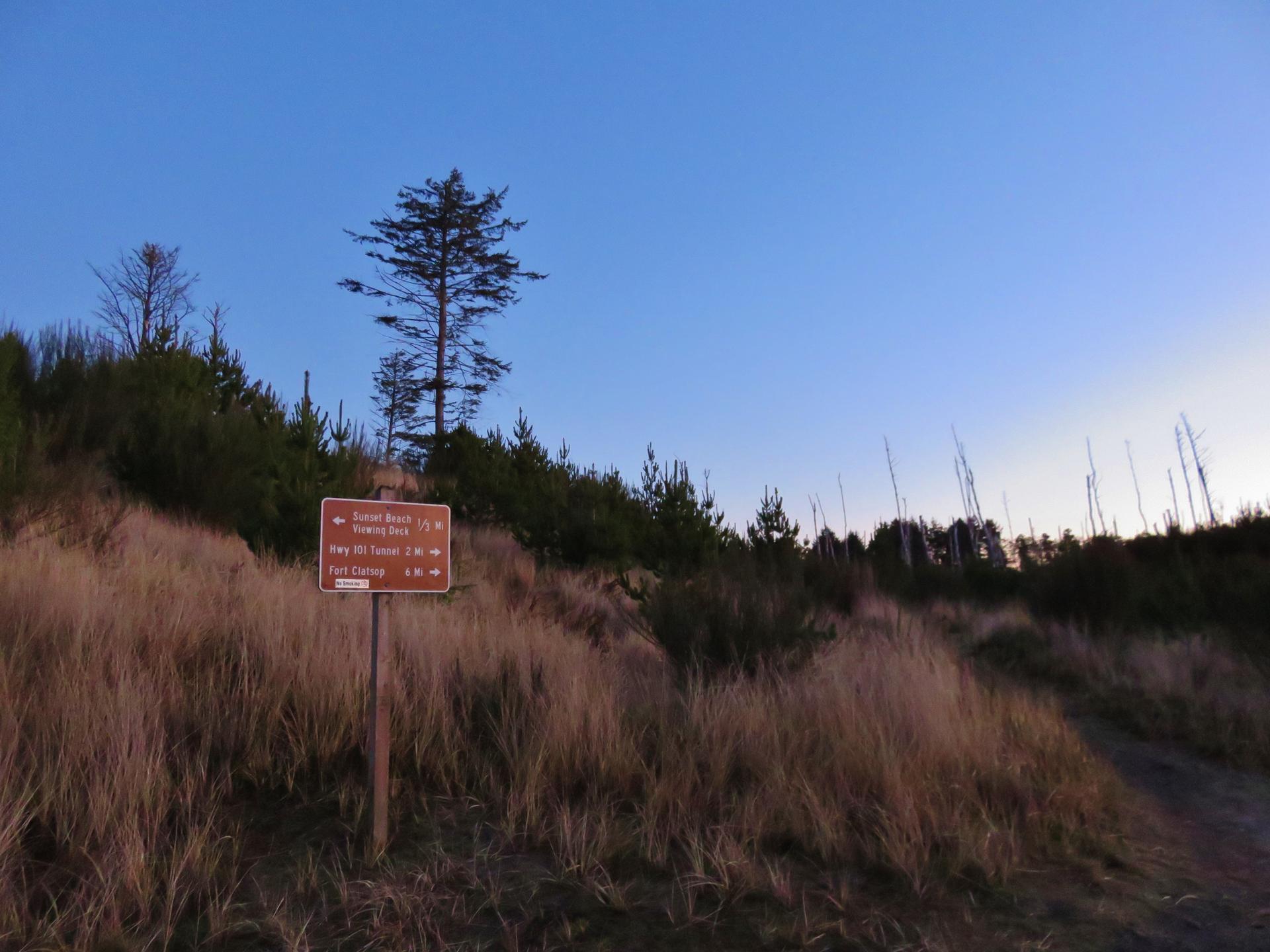 Brown trail sign on a grassy hill under a clear evening sky.