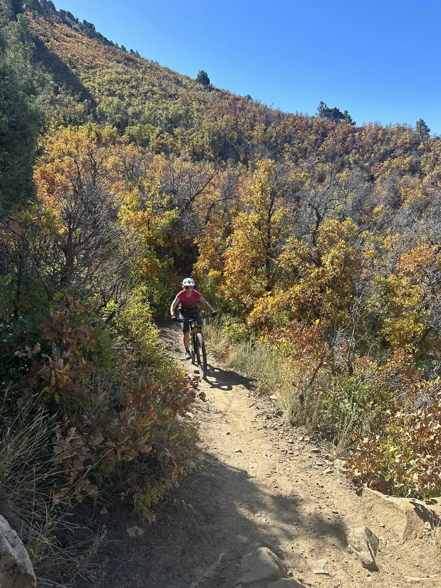 Person mountain biking down a sunny trail through colorful autumn trees.