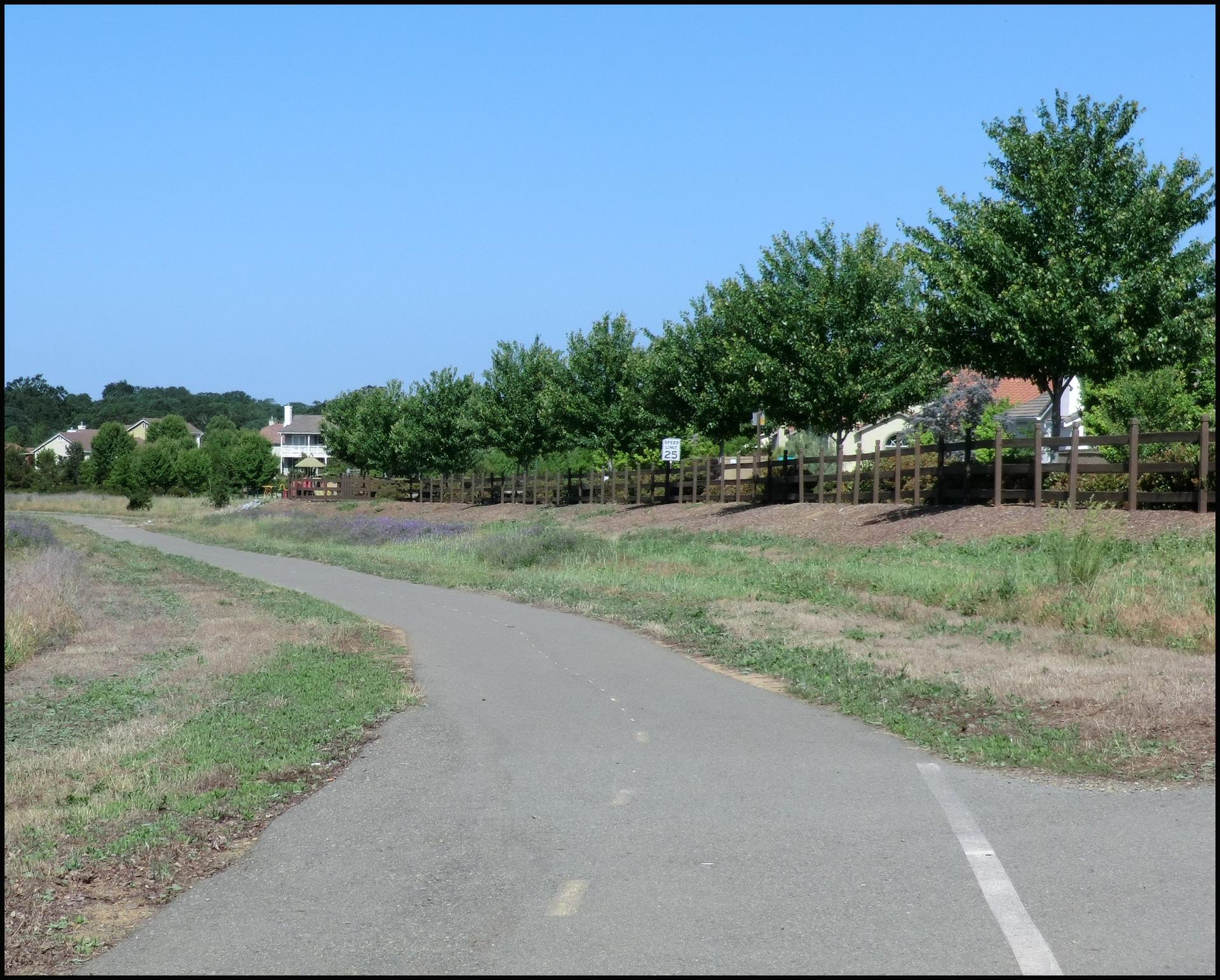 A paved path winds through green grass with trees and houses under a clear sky.
