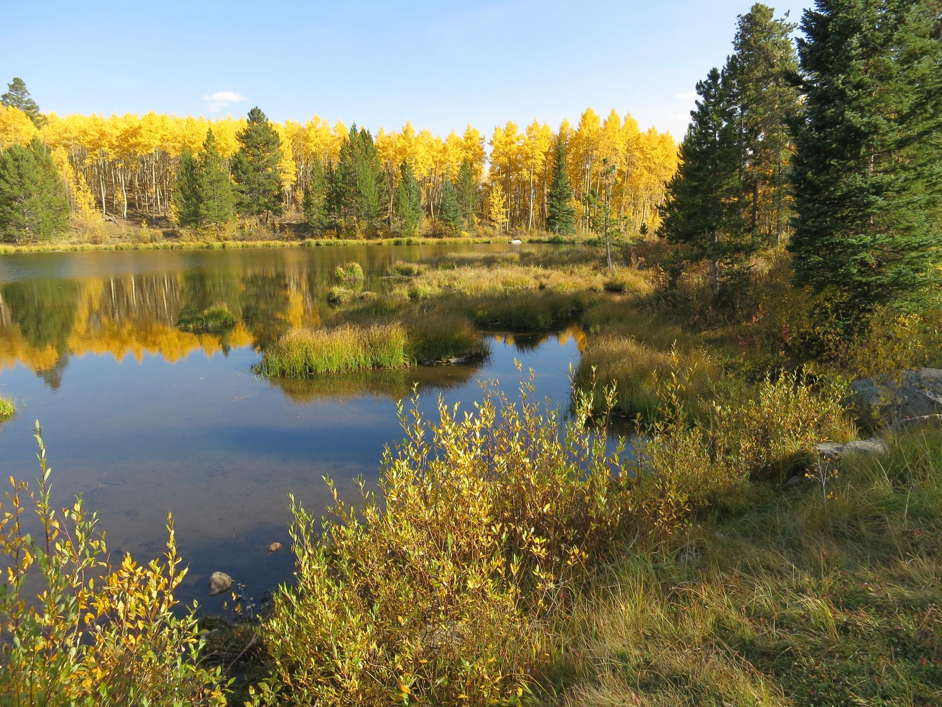 A serene lake reflects vibrant yellow and green trees under a clear sky.