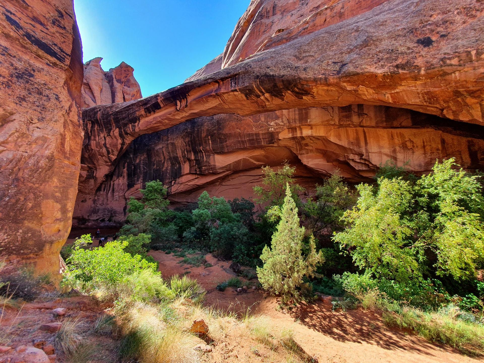 A large natural rock arch overhangs green trees and sandy ground.