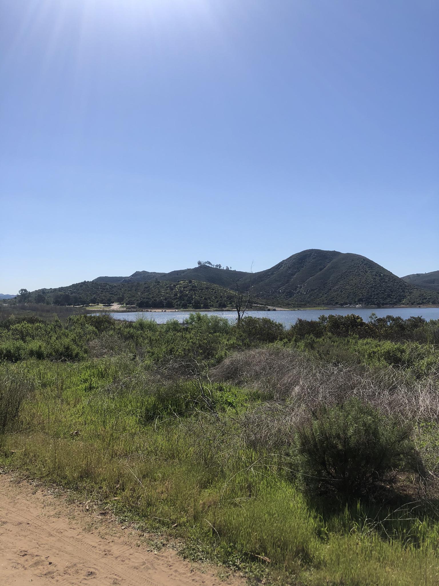 Sunny landscape with a body of water, green brush, and distant hills.