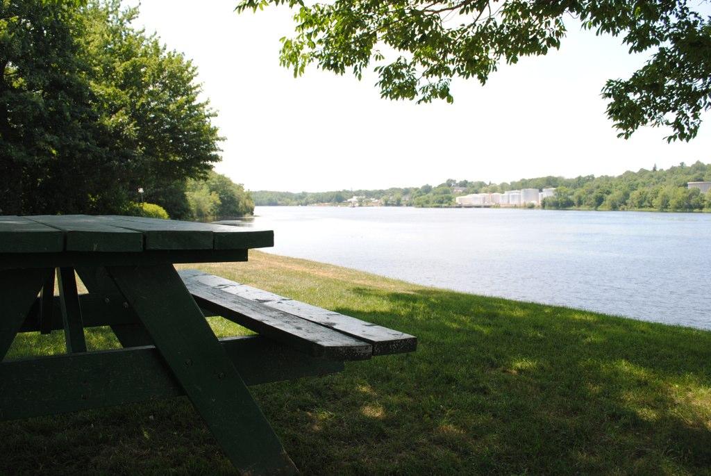 Green picnic table by a sunny lake with distant buildings and trees.
