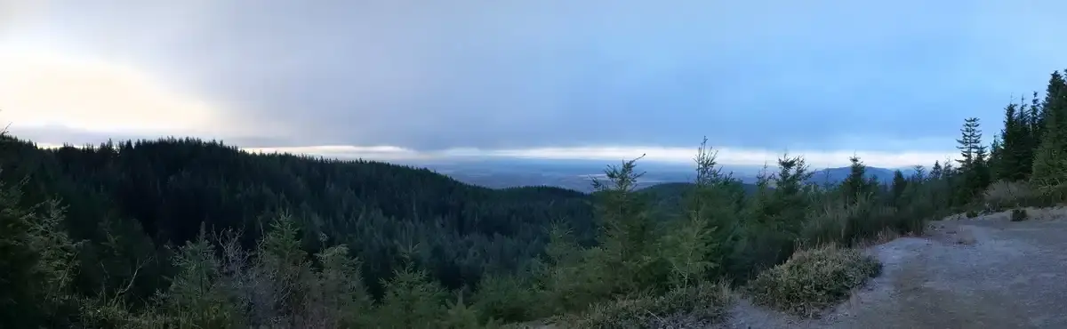 A wide panoramic view of a vast evergreen forest under a cloudy sky.