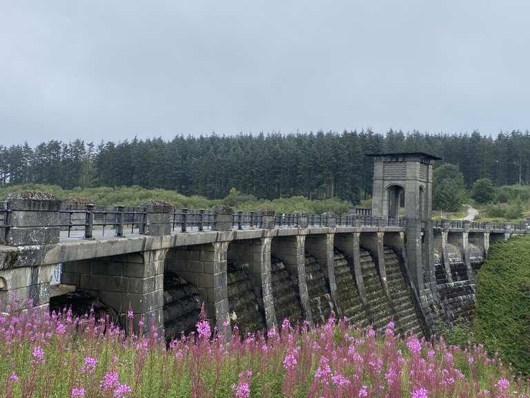 A circuit of Clocaenog Forest and the Alwen and Brenig Reservoirs ...