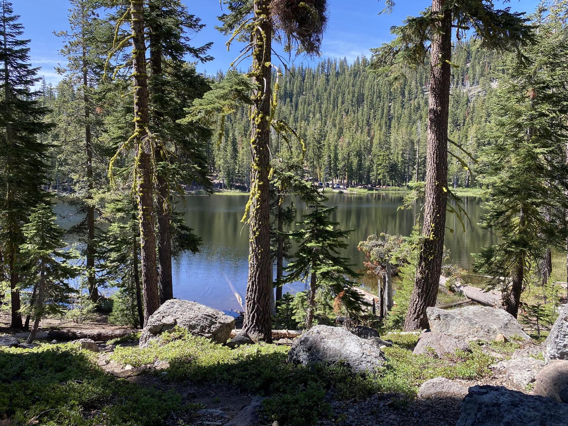 Serene lake surrounded by tall pine trees and rocks on a sunny day.
