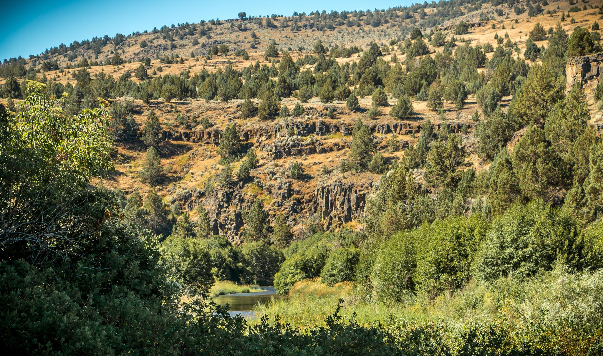 A winding river flows through a rocky canyon under a bright sky.